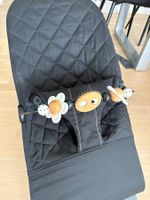 Babybjörn Babywippe