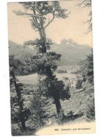 Campfer Graubünden Engadin Silvaplana Natur Berge