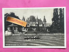 Schloss Schadau am Thunersee.