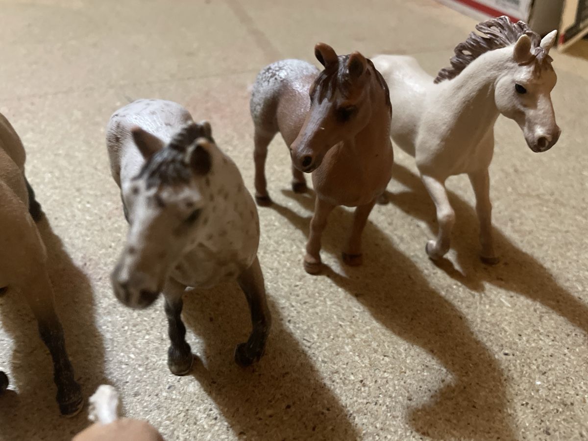 Schleich Giocattoli: Schleichtier Set  – Usato da Niederhasli venduto da nic_65cm 2