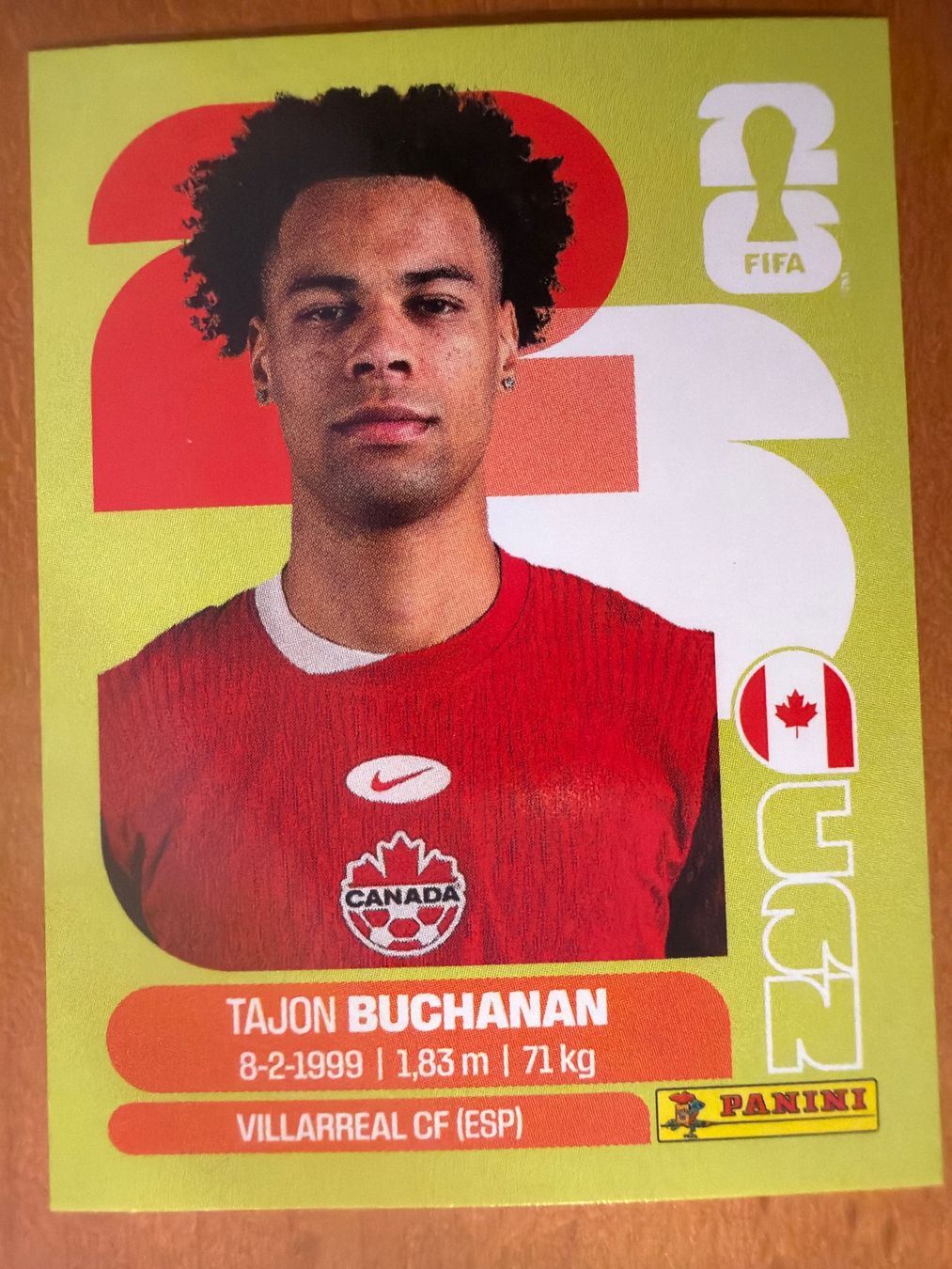 Panini Cartes à collectionner: Panini CAN17 – Neuf (Voir description) à Susten par Rechnun