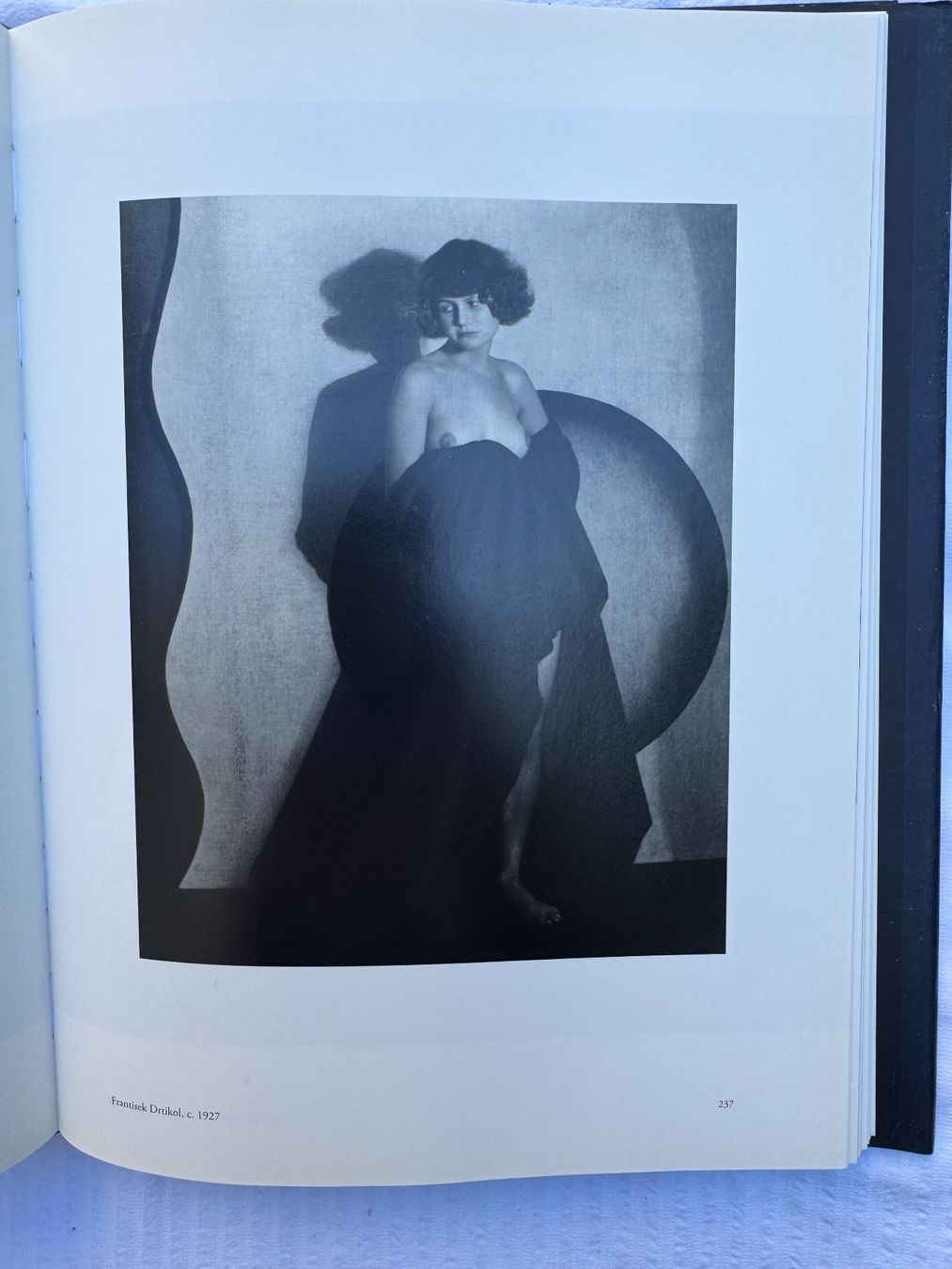 Bücher: "Shared Space" , M.Cohen Collection, Hrsg. Ray Merrit, 2010 – Neu (gemäss Beschreibung) aus Zürich von Husopaska 9