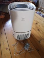 Luftreiniger Electrolux