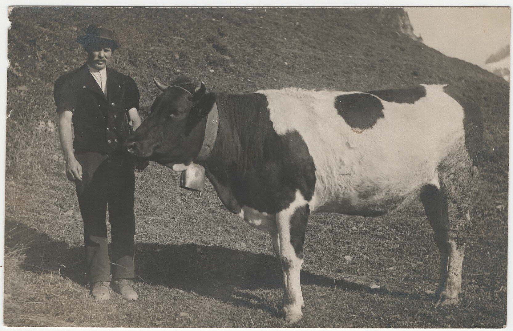 Ansichtskarten: Bauer mit Kuh – Gebraucht aus Winterthur von Wintiwest