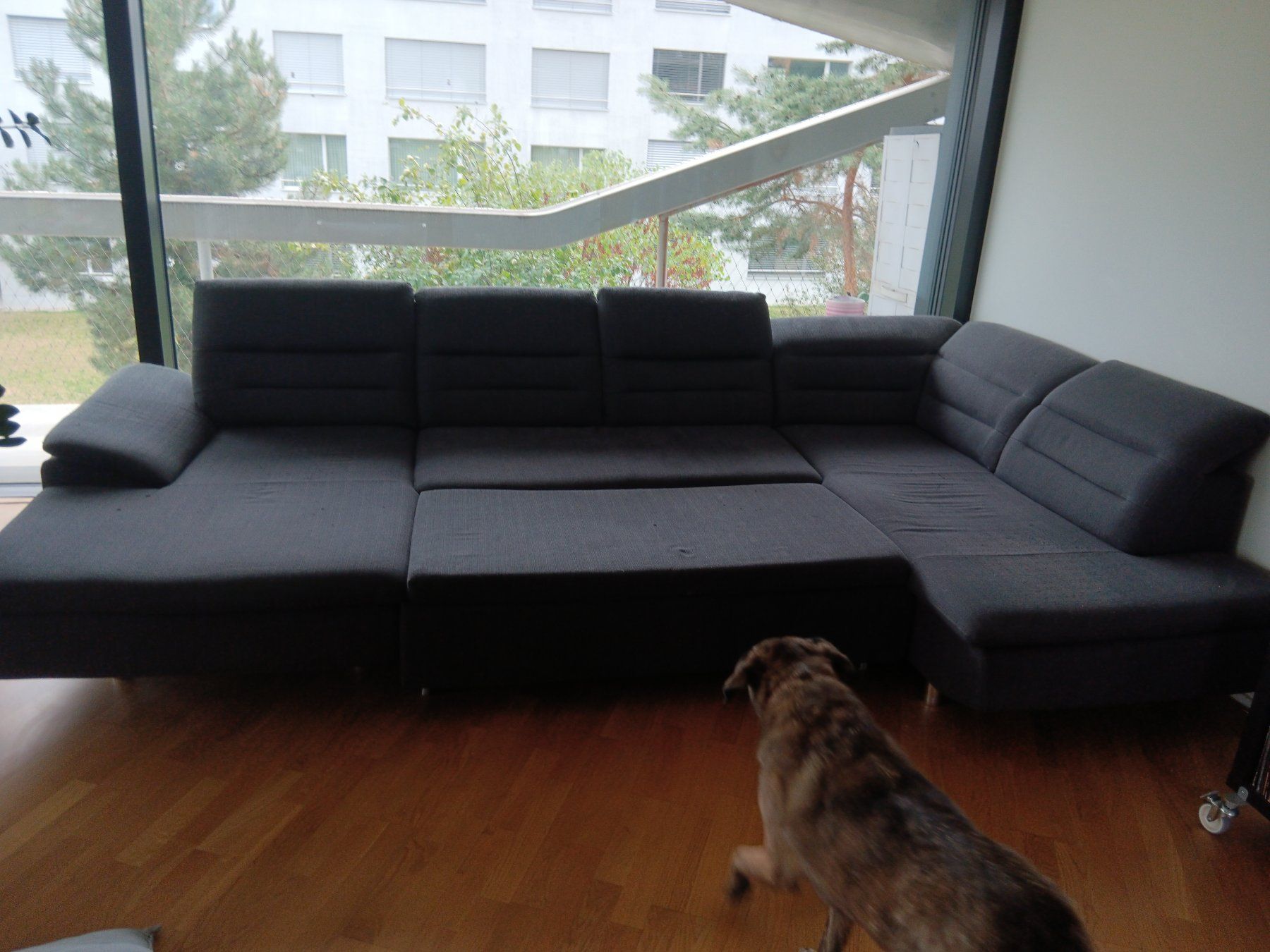 Divani: Bettsofa – Usato da Oberdiessbach venduto da freiheit05 1