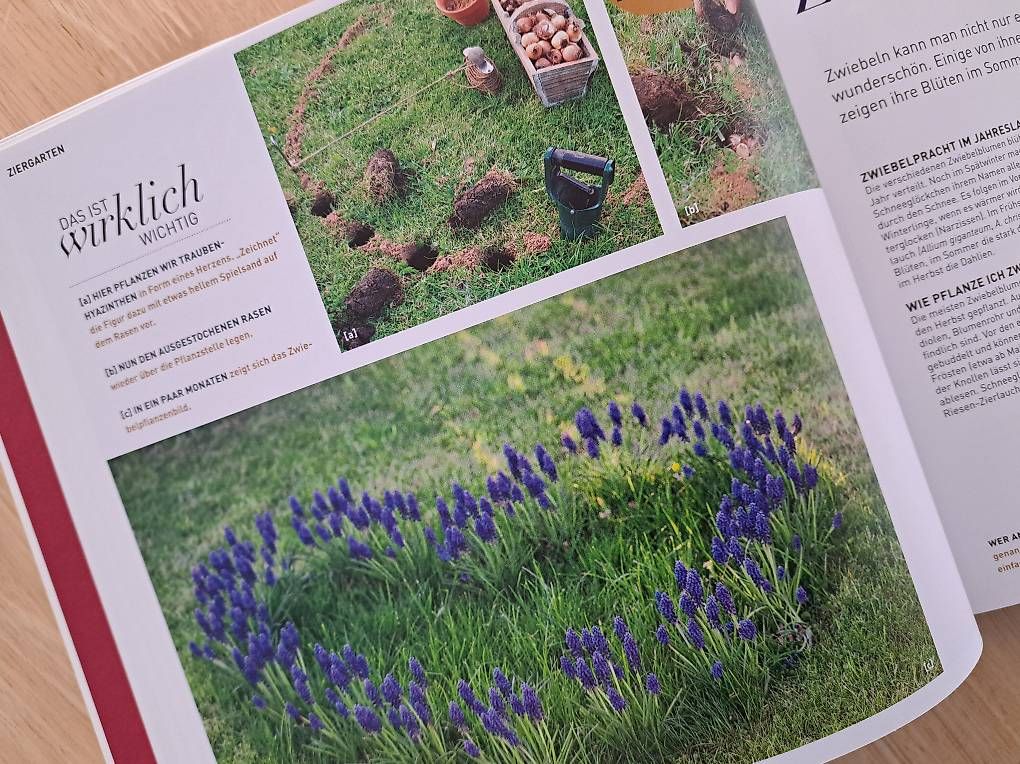 Libri: Buch "Gartenkinder" – Usato da Weinfelden venduto da Mausi2 2