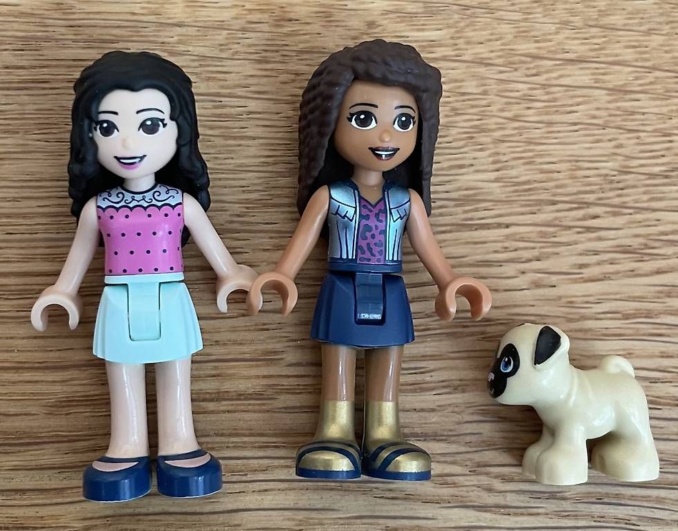 Giocattoli: Lego Friends Andreas Accessoire-Laden 41344 – Usato da Giswil venduto da nimue1977 2
