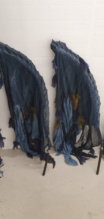 Costumi: Alti Garde Luzern: Paradiesvogel / Geier – Usato da Emmenbrücke venduto da Mandali67 7