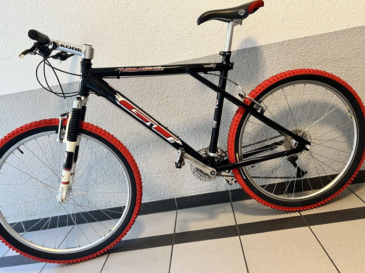 GT Biciclette: GT  Mountainbike   – Usato da Kleindöttingen venduto da NextOne 9