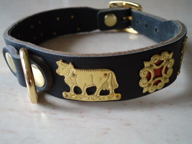 Appenzeller Hundehalsband Messing (Neu (gemss Beschreibung)) in Stein AR  fr CHF 27  mit Lieferung auf Ricardo kaufen