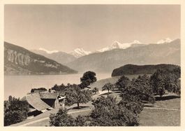 Lago di Thun (Thunersee) nell'Oberland Bernese G