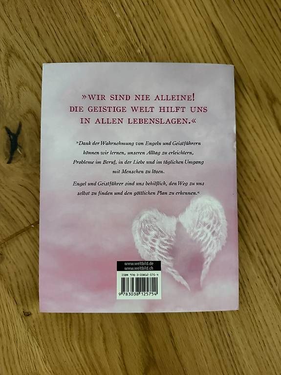 Libri: Pascal Voggenhuber  Die geistige Welt hilft uns – Usato da Diepoldsau venduto da jessie.lena 1