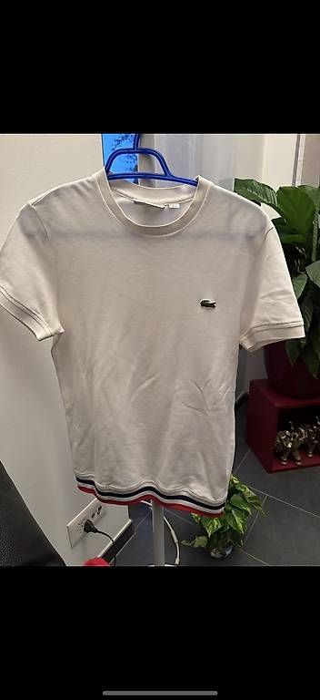 T-Shirts: Lacoste Tshirt – Gebraucht aus Oberdiessbach von shan26