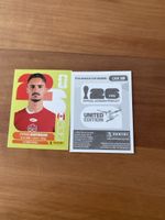 Panini CAN 10