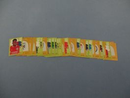 FIFA World Cup 2026  33  Sticker