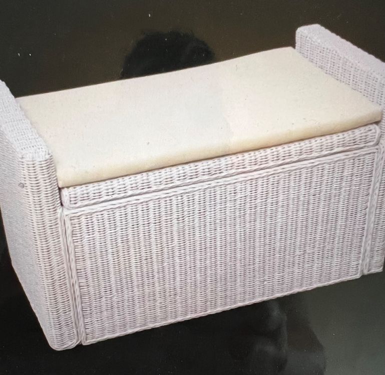 Bank Sitzbank Rattan mit Stauraum und Kissen Kaufen auf Ricardo