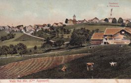 Wald  962 Mtr. (Cton Appenzell)  1907
