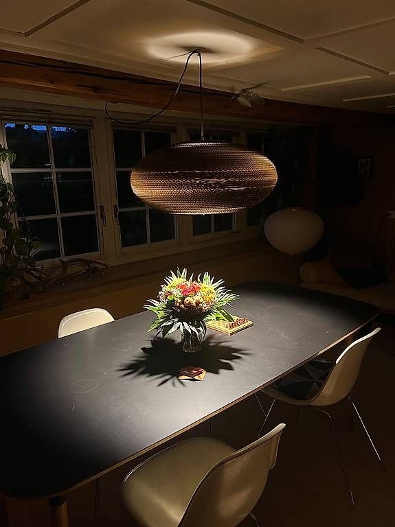 Herman Miller Sedie: Original Eames Side Chair – Usato da Oberhelfenschwil venduto da neoneoneo