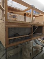 Käfig für Rennmäuse mit selber gebautem Aufbau div. Zubehör