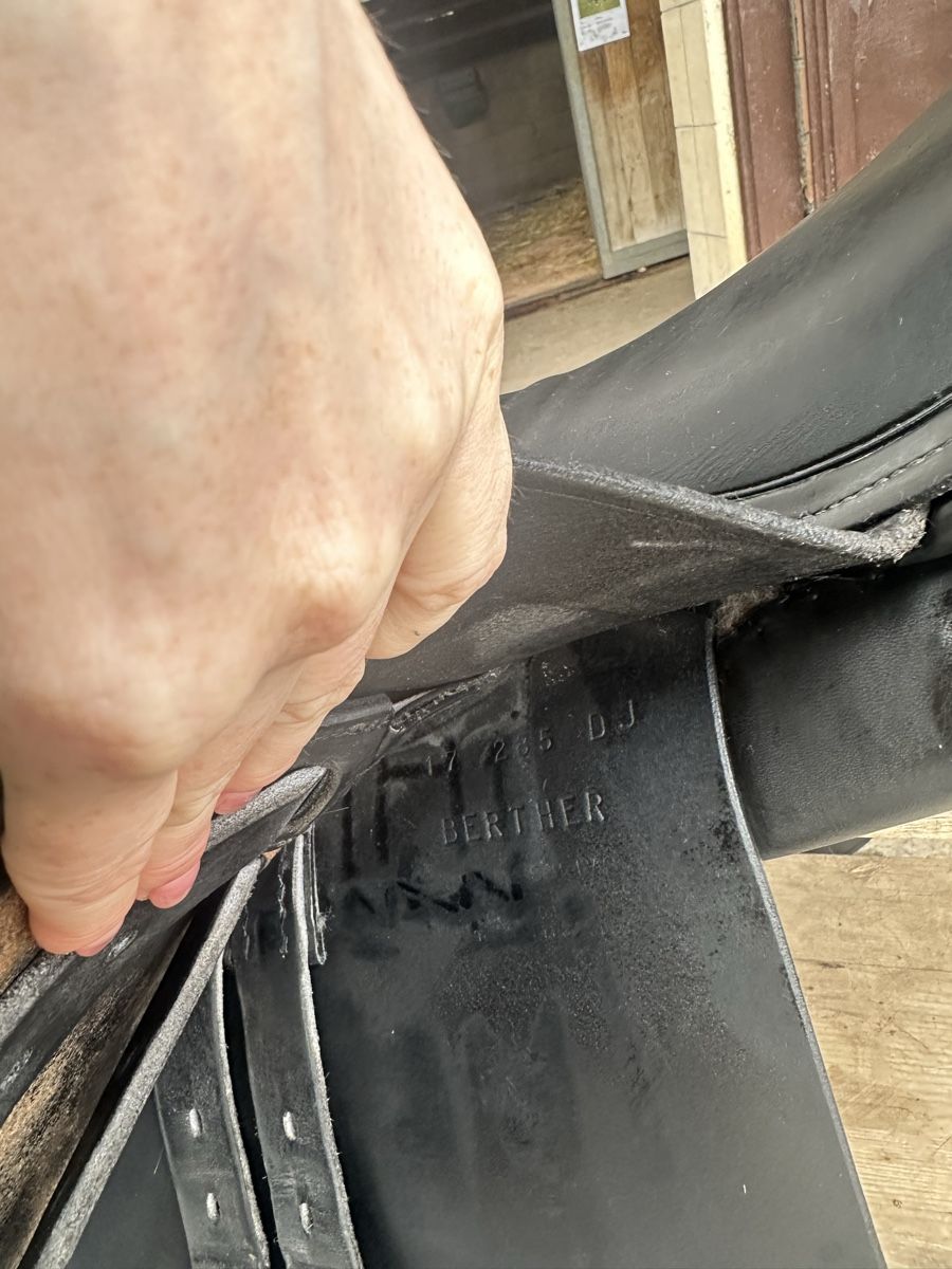 Selle & Accessori: Labelle VS Sattel (Springen) 17.5” – Usato da Männedorf venduto da kajuar 4