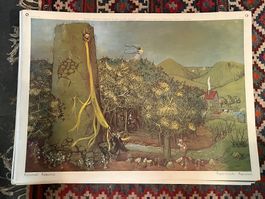 schulwandbild rapunzel