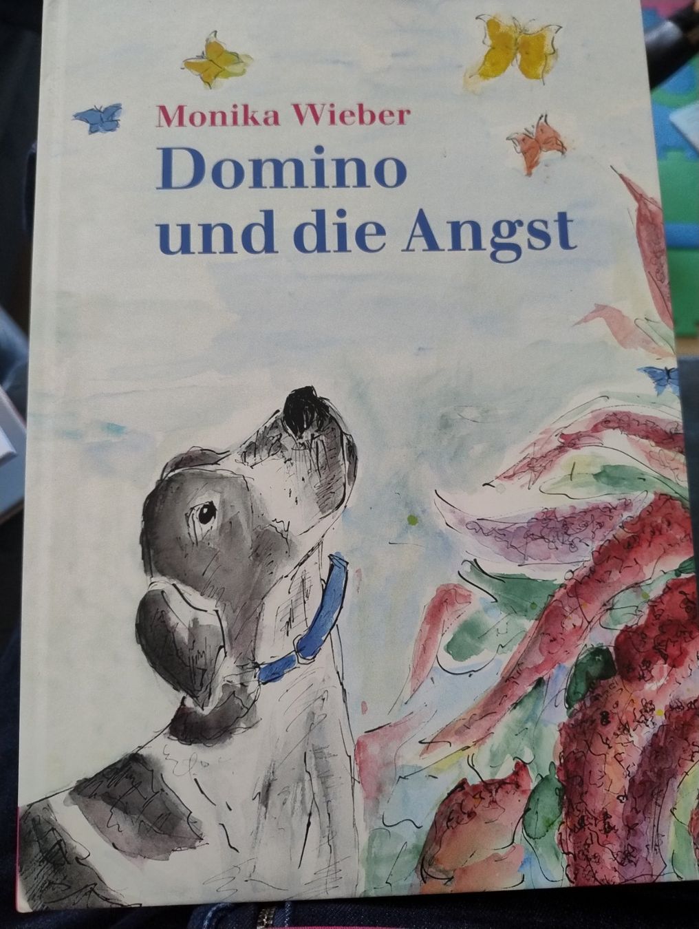 Livres: Domino und die Angst – D'occasion à Bätterkinden par livingdreams
