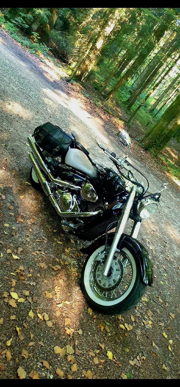 Suzuki Chopper: Suzuki VL800 INTRUDER – Usato da EGERKINGEN venduto da Eren3 4