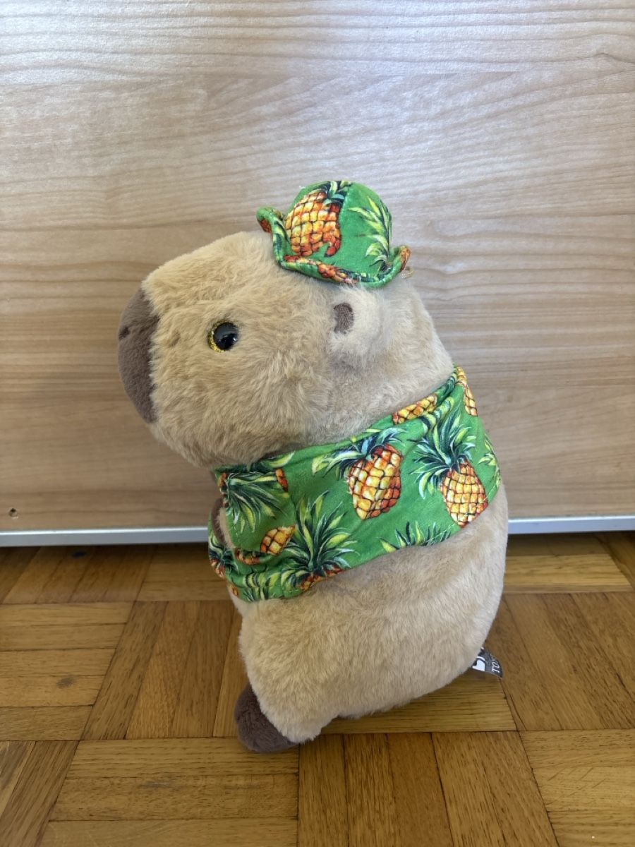 Giocattoli: Plüschtier Capybara mit Hemd Ananas – Nuovo (secondo la descrizione) da Niederhasli venduto da ani_7wdn 1