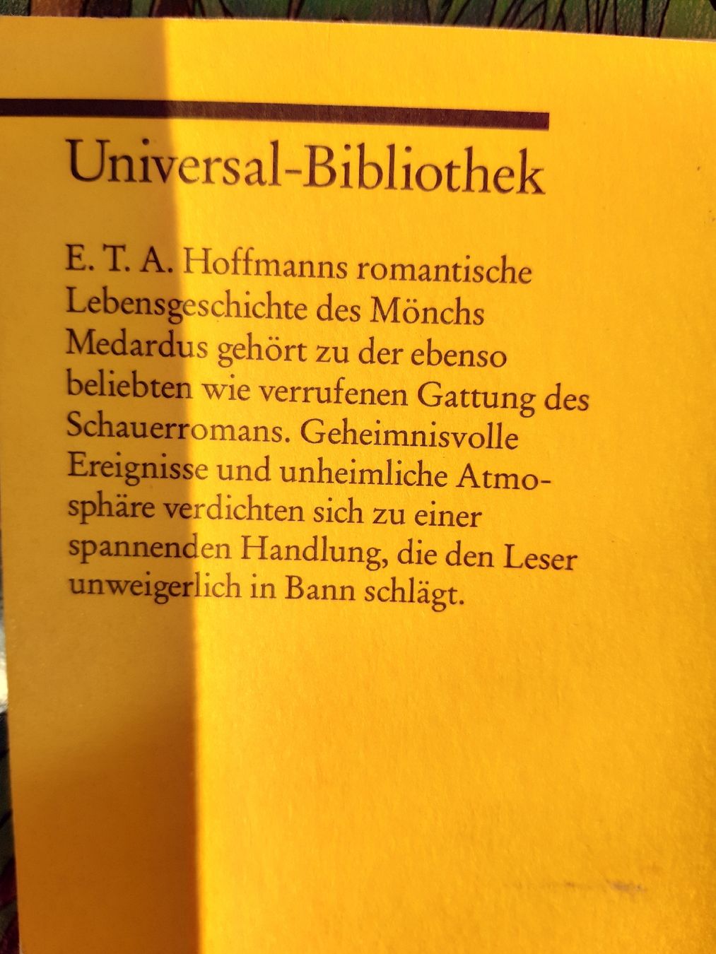 Libri: roman "die elixiere des teufels" – Usato da Nebikon venduto da Haidihooo 1