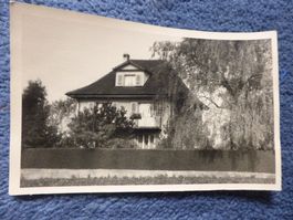 Herzogenbuchsee,BE,Villa,Privatfoto, "Buchsy"