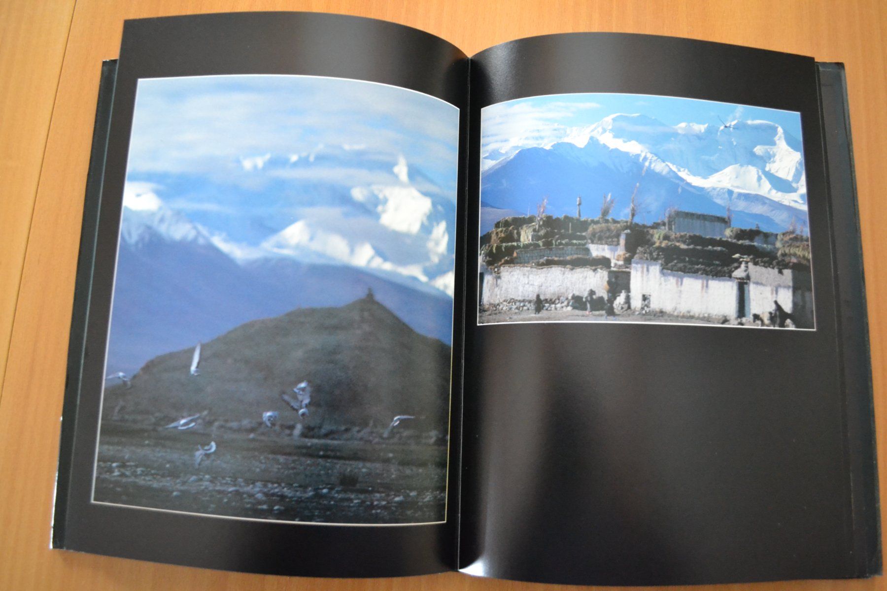 Livres: Tibet – D'occasion à Beinwil am See par kajak55 1
