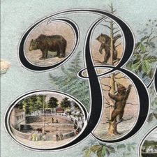 Profile image of Baere-Brocki