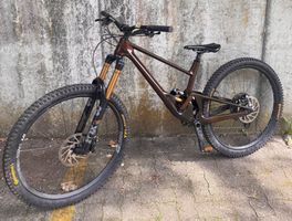 Scor 4060lt GX Root Beet