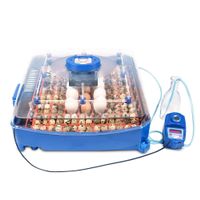 Borotto Lumia 56 Expert Brutmaschine