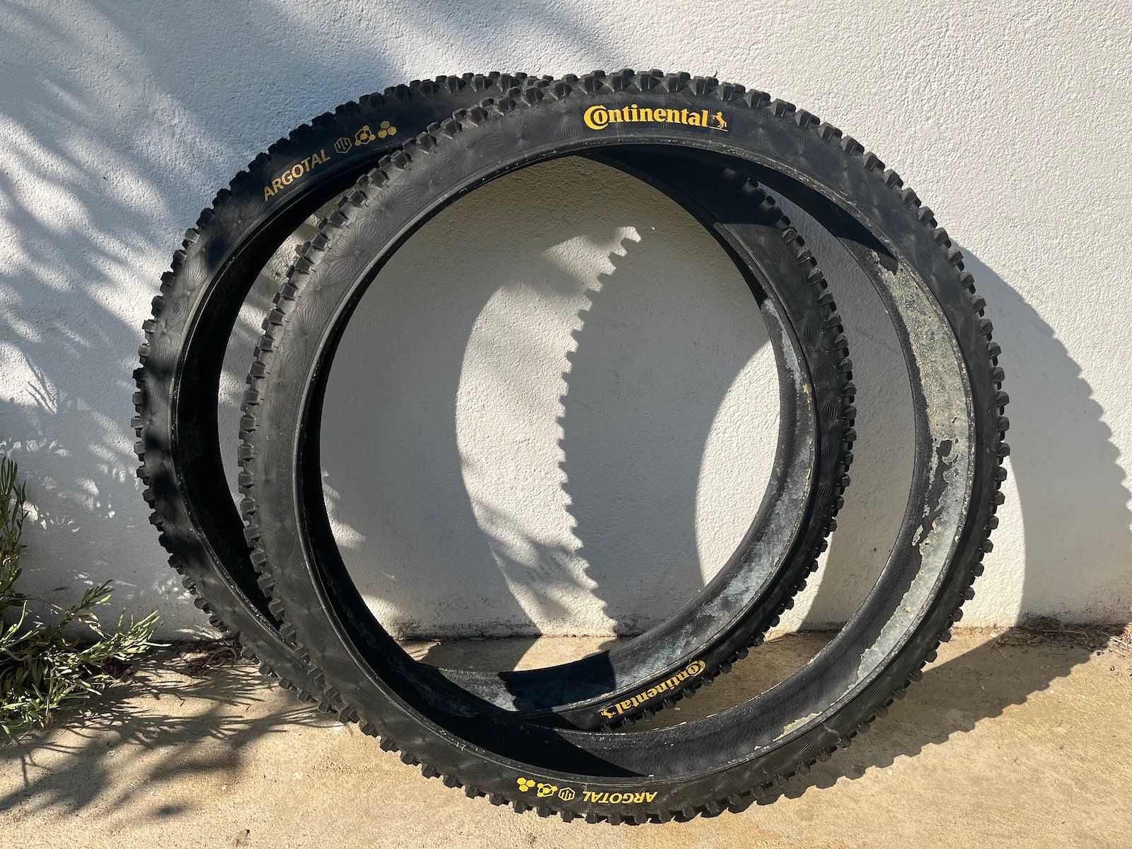 Pezzi di ricambio: Continental Argotal Downhill Supersoft 29 x2.4" – Usato da Massongex venduto da thn311 2