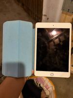 iPad mini rose