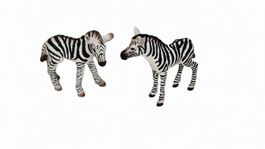 Schleich Zebra-Fohlen – 2 Figuren im Set