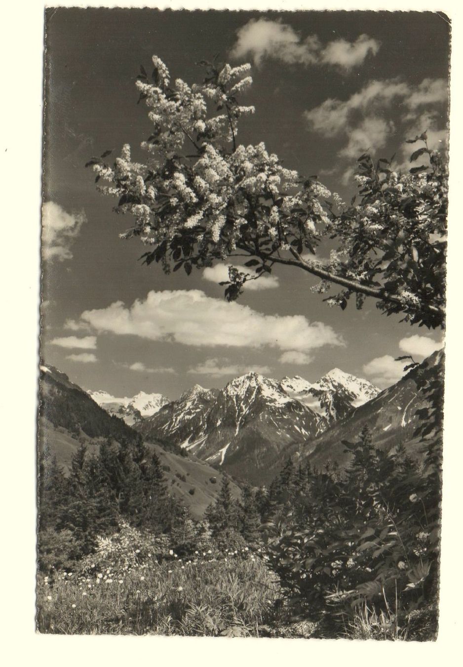 Ansichtskarten: KLOSTERS Silvrettagruppe – Gebraucht aus Jona von philajona