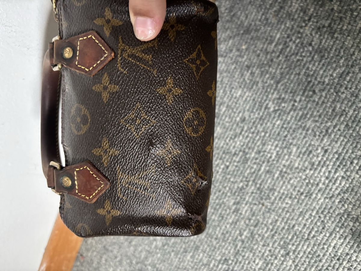 Louis Vuitton Borse da donna: LV mini Speedy – Difettoso da Dübendorf venduto da ame_g69g 2