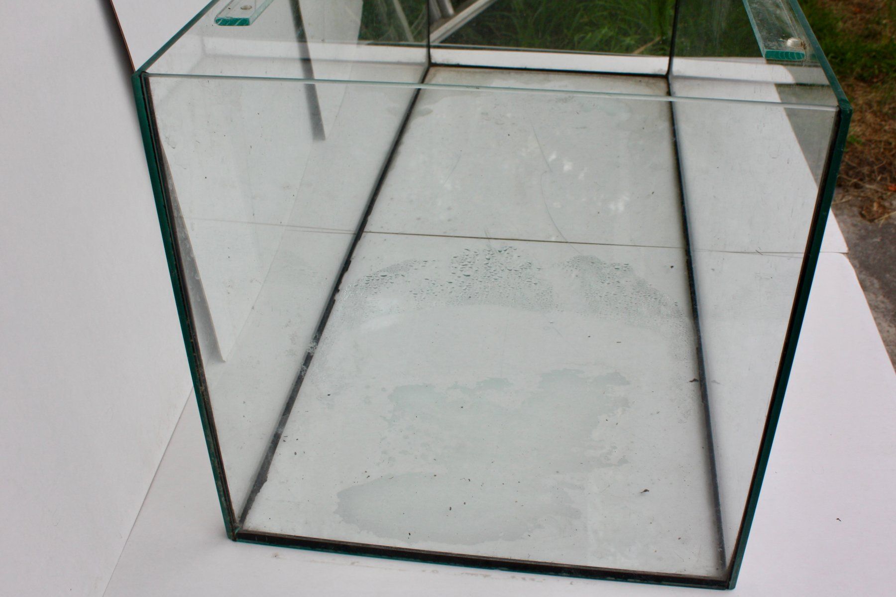 Terrario: Terrarium – Usato da Altstätten SG venduto da alpalfa 1