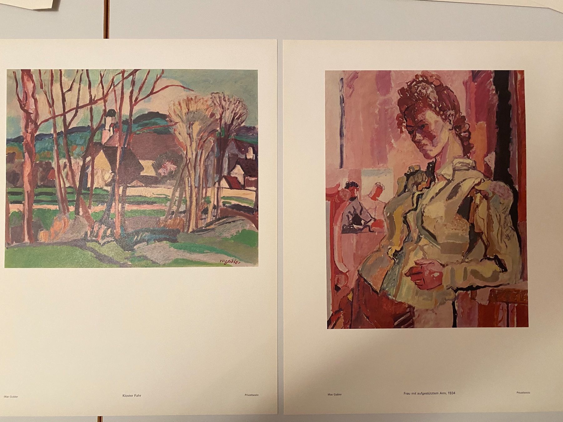 Foto & Immagini: Kunstmappe Max Gubler – Usato da Lüchingen venduto da LIDB 1