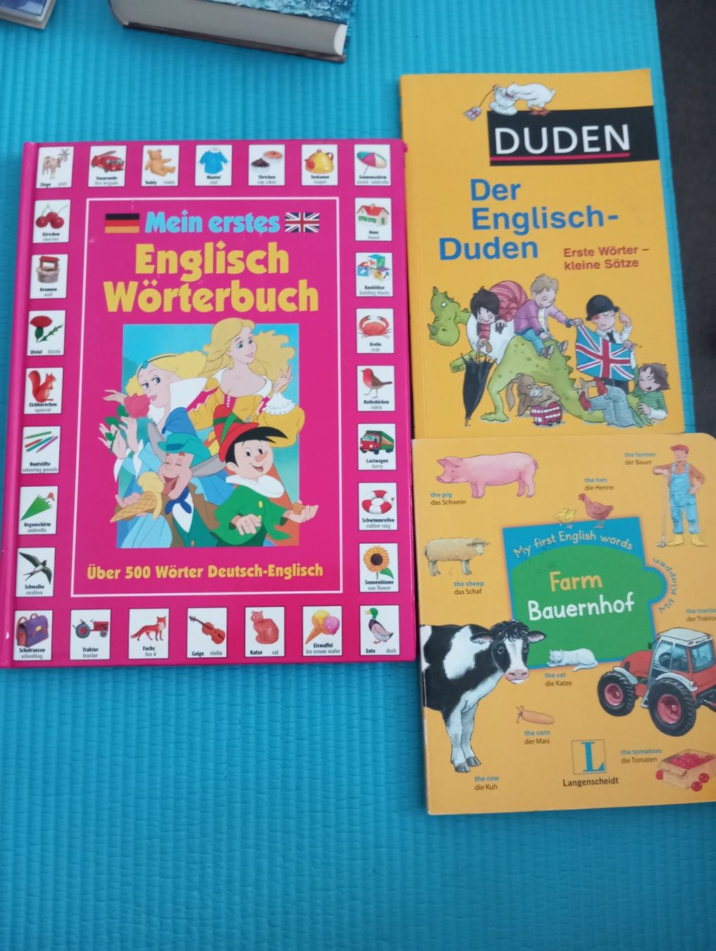 Bücher: Englisch lernen – Gebraucht aus Amriswil von cbe_cr6q