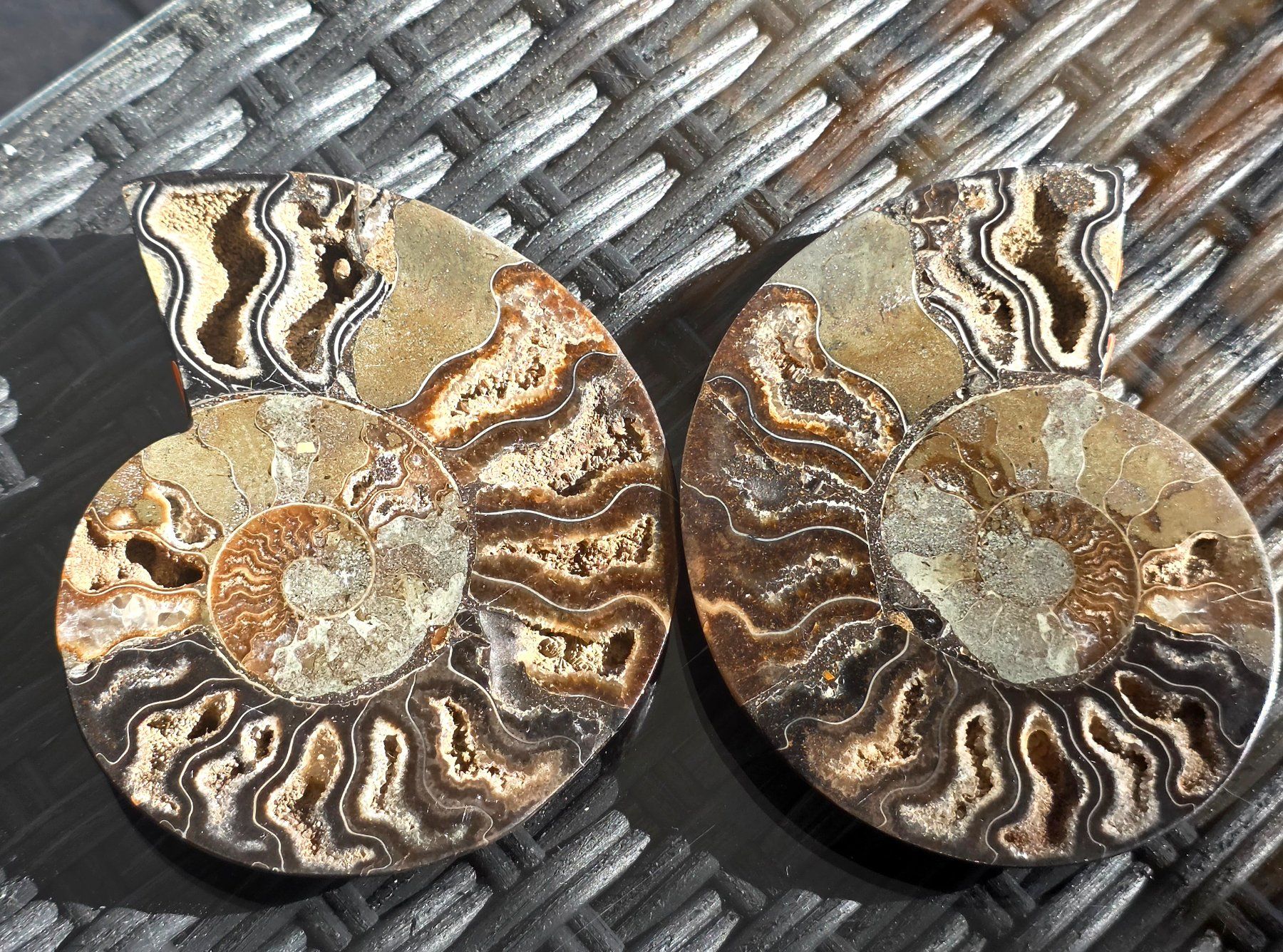 Fossili: Ammoniten Paar Schwarz P11 210g – Nuovo e nell'imballaggio originale da Matzingen venduto da Shay_Crystalz