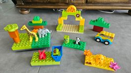 Zoo Duplo