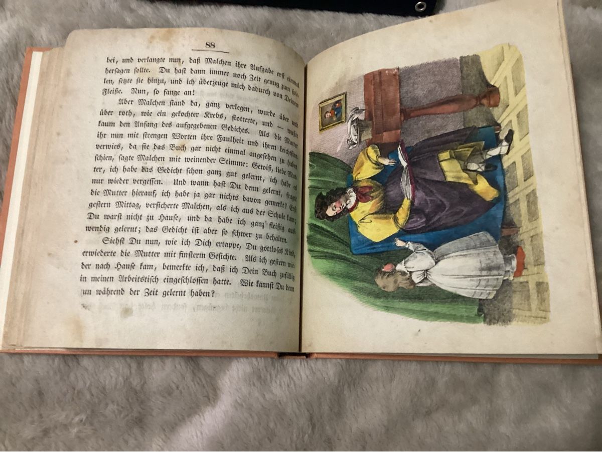 Libri: ANTIKES BUCH VON 1831 – Usato da Münchenstein venduto da NoSu98 2