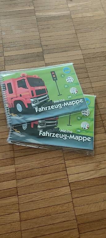 Libri: Fahrzeugbuch – Usato da Buchs AG venduto da buc_5dr5