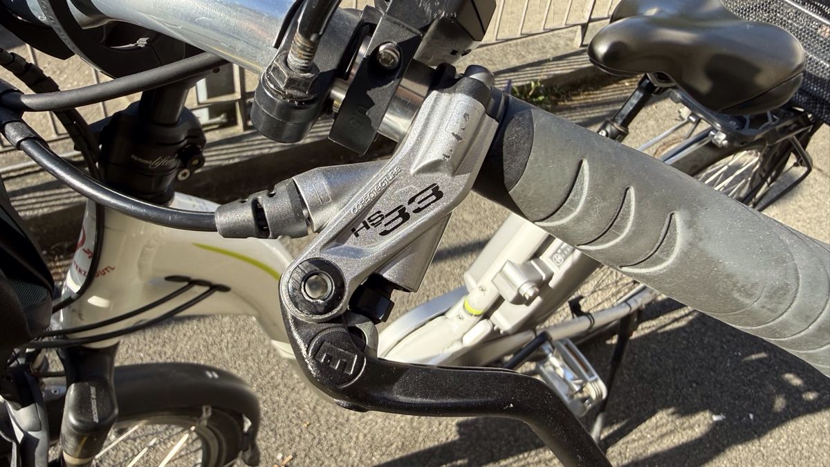 Flyer Biciclette: FLYER E-Bike C-Serie 45 cm S – Usato da Schlieren venduto da lulupupi 2