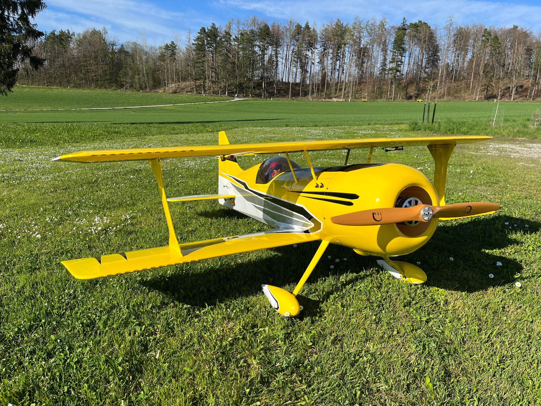 Modellismo RC: Mamba 70cc von Flex Innovations 1961mm – Usato da Zollikerberg venduto da Cmmoser 1