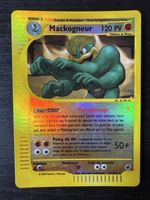 Mackogneur Holo reverse 51/165 team expédition 