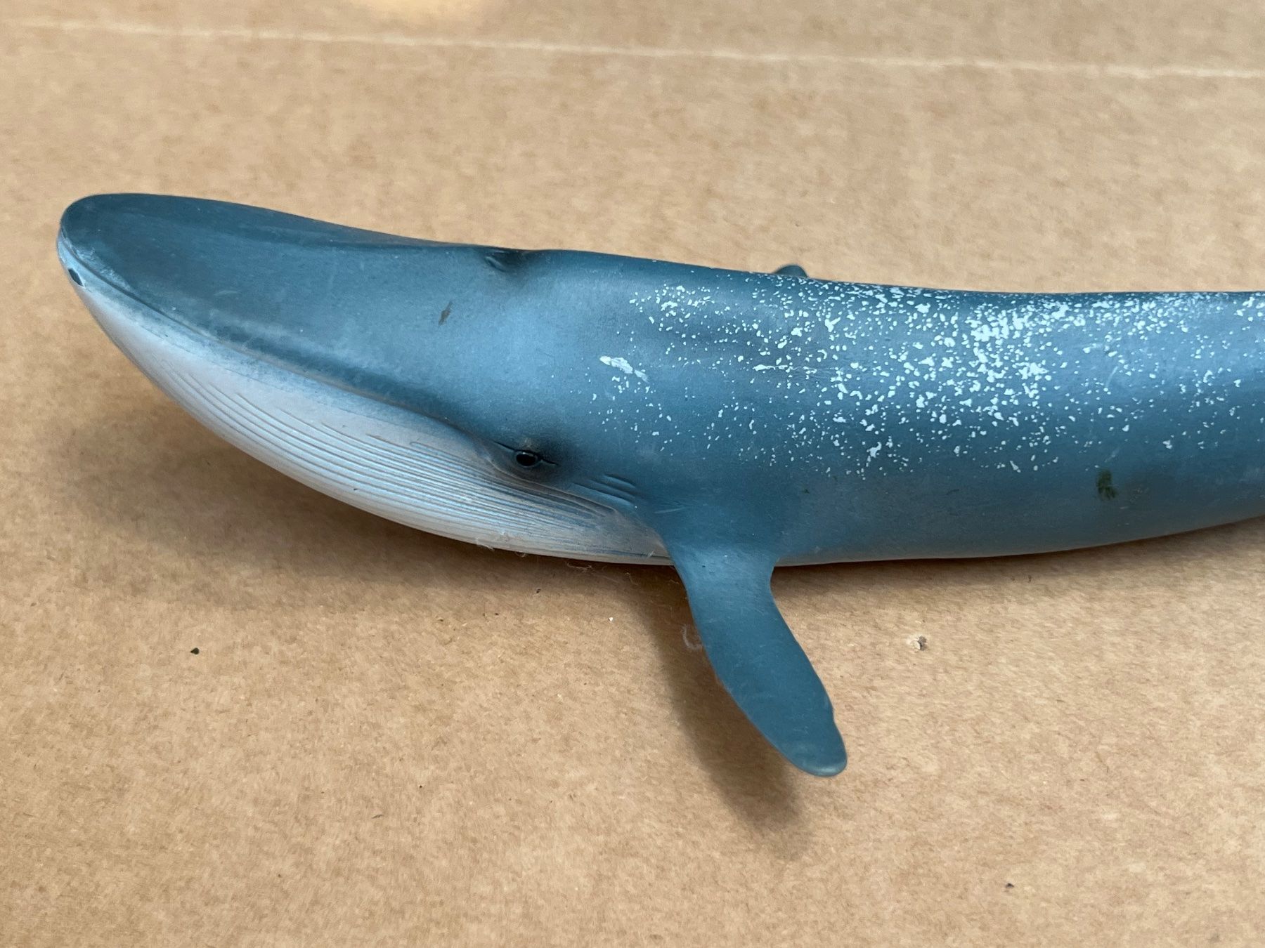 Schleich Statuette: Schleich 14696 Blauwal Wal Wassertier Seetier – Usato da Ennetbaden venduto da mapa05 2